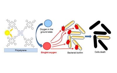 Designing Porphyrinic COFs for the Photodynamic Inactivation of Bacteria