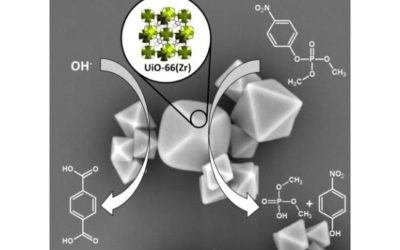 UiO-66 – stability in aqueous environment and its relevance for organophosphate degradations