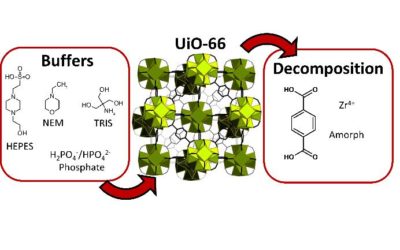 Metal–organic frameworks vs. buffers: case study of UiO-66 stability